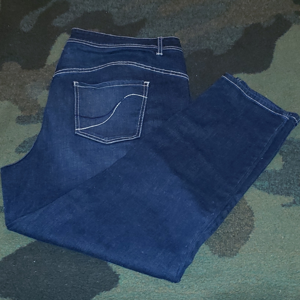 Lane Bryant Genius Fit skinny jeans